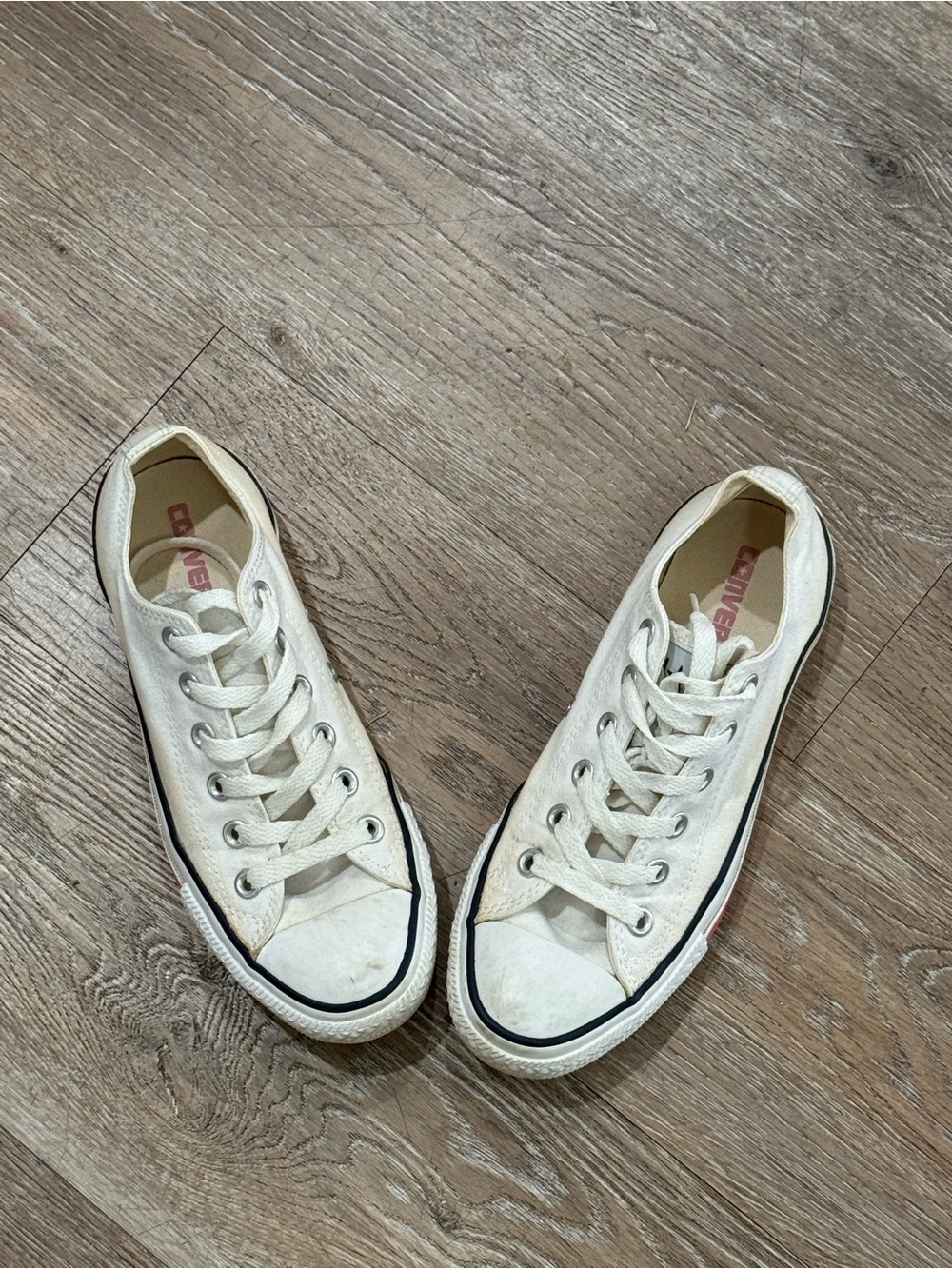 Converse Low-Top Canvas Sneakers in White with Navy/pink Trim